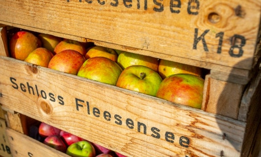 Äpfel in Obstkisten vom Schloss Fleesensee